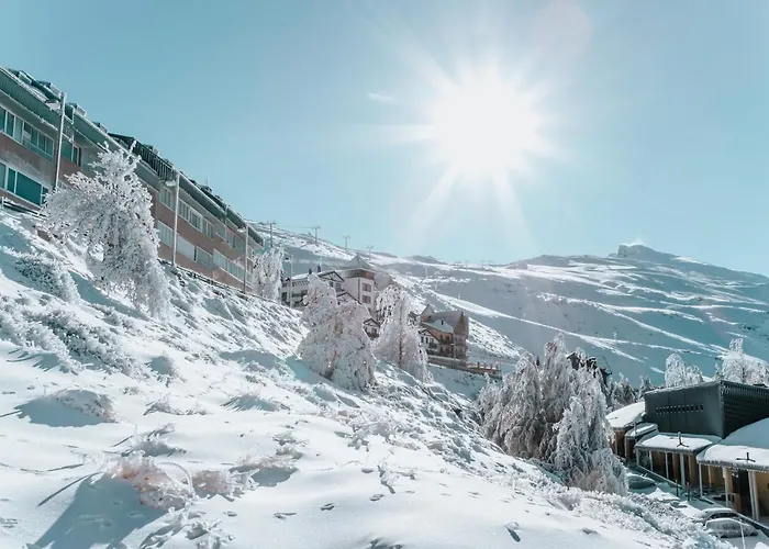 Silencio Sierra Nevada